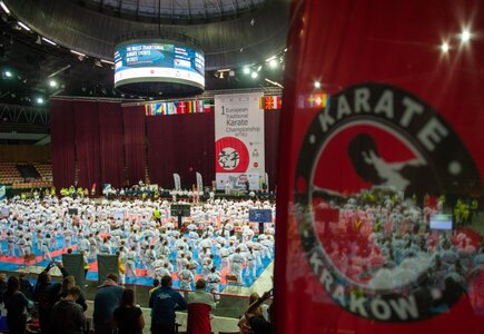Mistrzostwa Europy w Karate Tradycyjnym