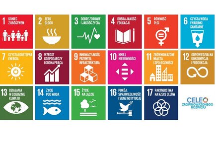 17 celów na rzecz zrównoważonego rozwoju (SDG), określonych przez ONZ