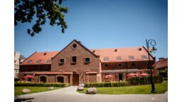 Zamek Topacz