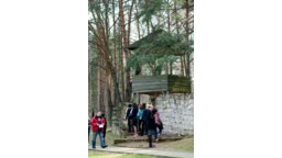 mp_fast_date_promenada(1)