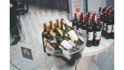 Wina z polskiej Winnicy Dwórzno