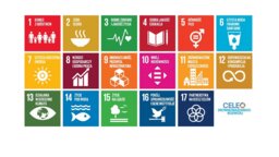 17 celów na rzecz zrównoważonego rozwoju (SDG), określonych przez ONZ