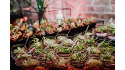 Catering aleje3