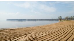 mp_fast_date_promenada(1)