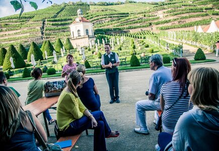 MP MICE Tour® do Saksonii i Brandenburgii
