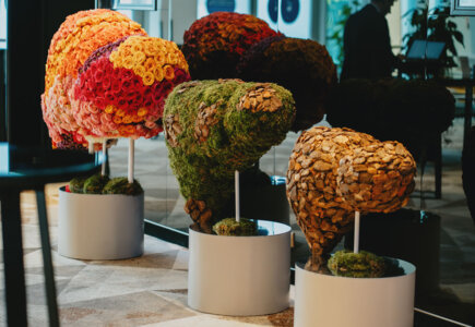 Konferencja Boehringer Ingelheim