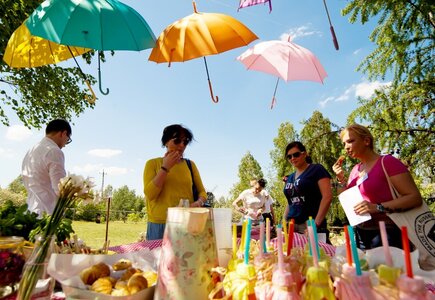 MP Picnic Day 2014