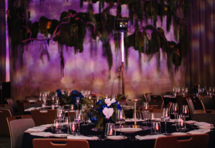 Gala Creaton – prezentacja nowej marki