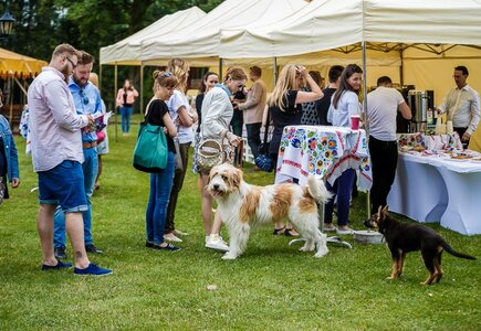 MP Picnic Day na Farmie Makedońskich