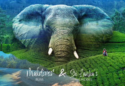 Sri Lanka’s wonders & Maldives’ bliss