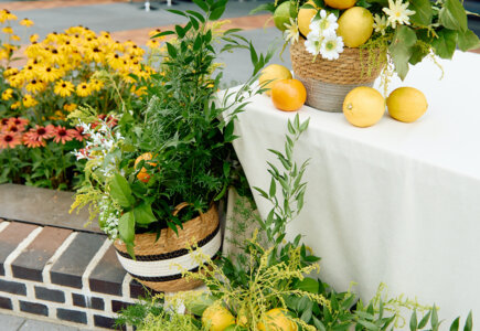 Lemon Jam Summer Party